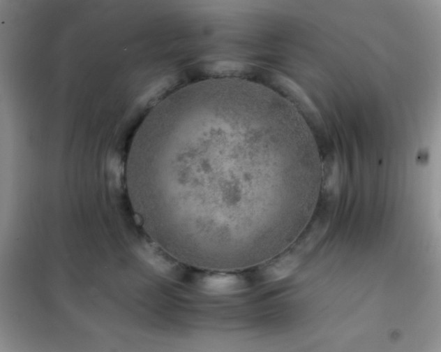 X0000102380669200808011538