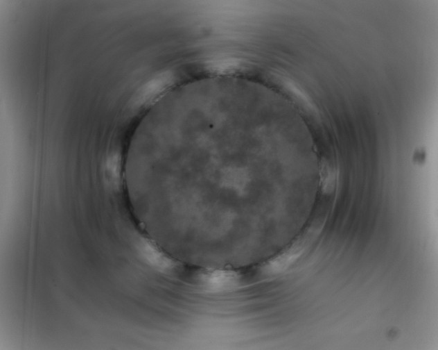 X0000102380670200808011538