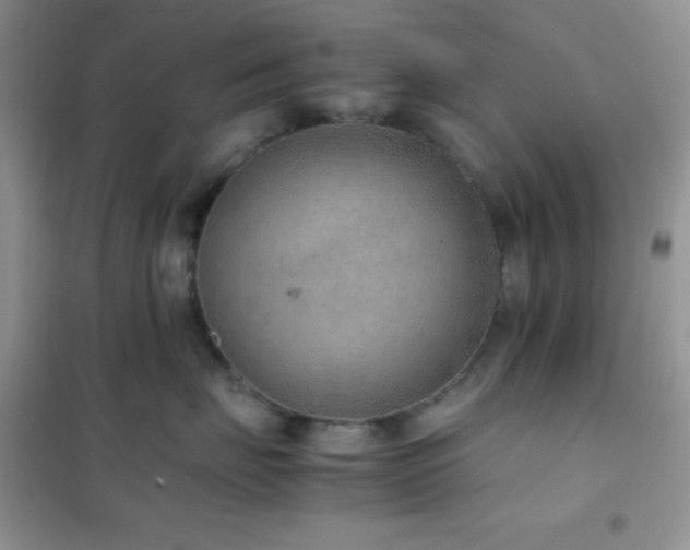 X0000102380671200808011538
