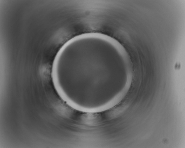 X0000102380672200808011538
