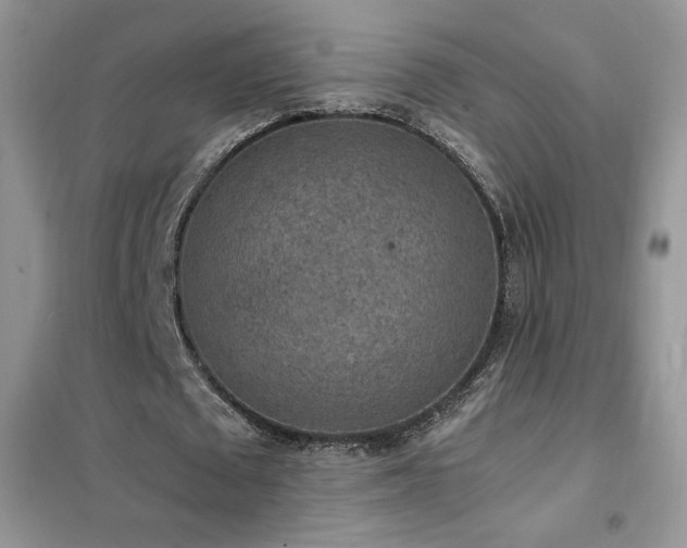 X0000102380673200808011537