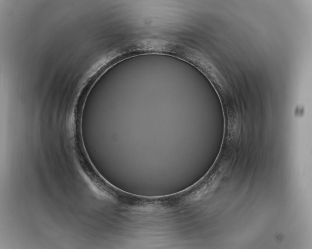 X0000102380674200808011537