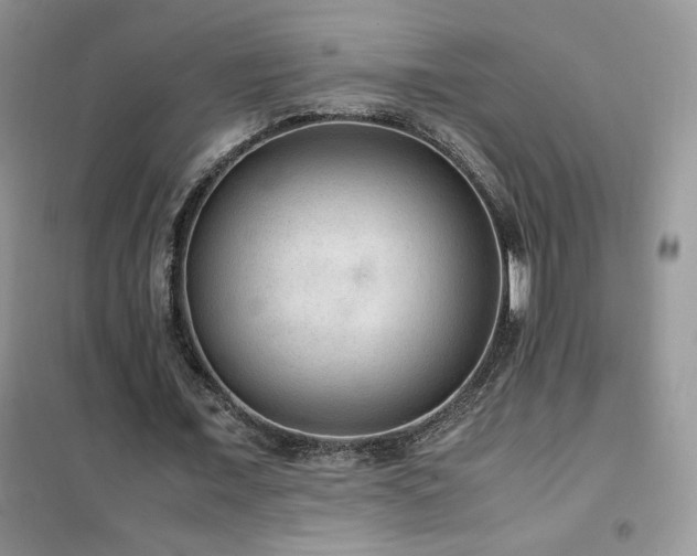 X0000102380675200808011537