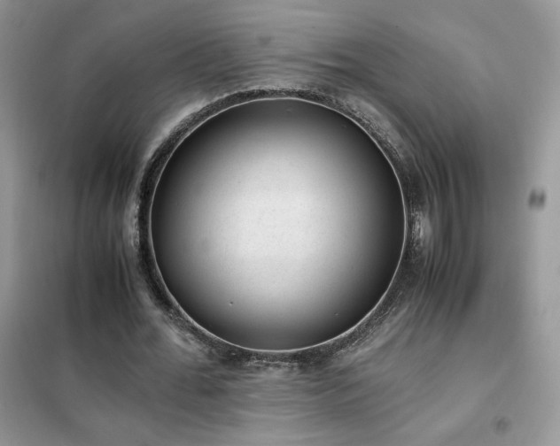 X0000102380676200808011537