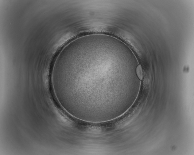 X0000102380677200808011537