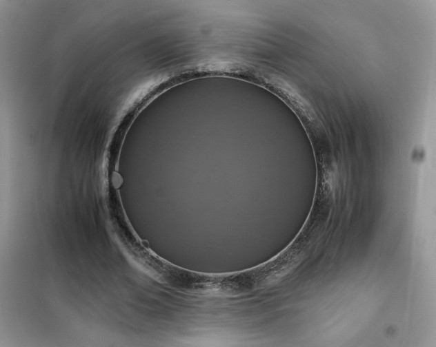 X0000102380678200808011537