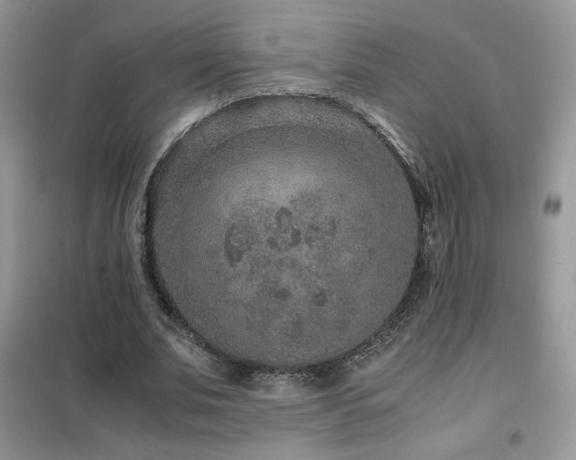 X0000102380679200808011537