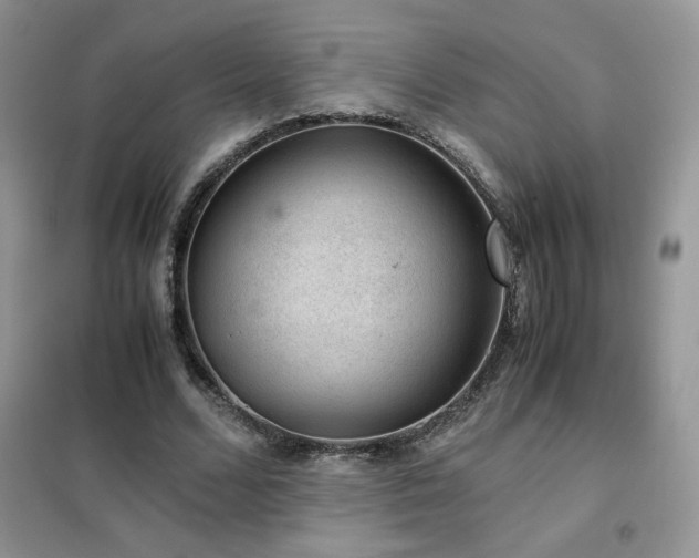 X0000102380680200808011537
