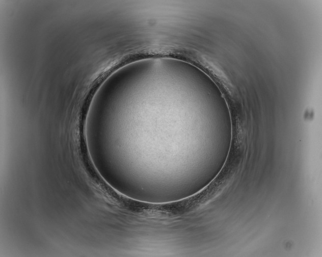 X0000102380681200808011537
