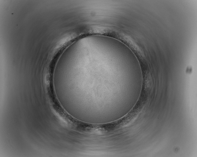X0000102380683200808011537