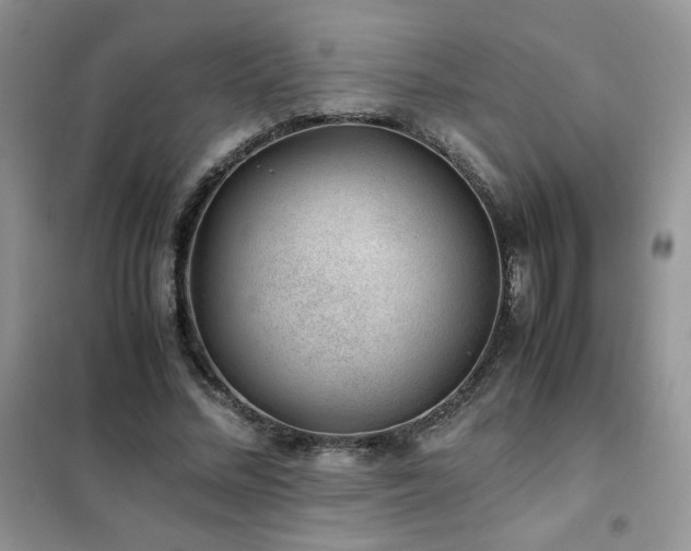 X0000102380684200808011537