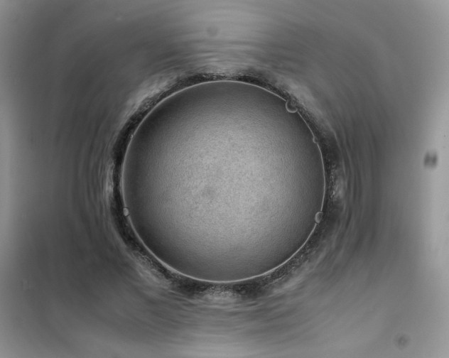 X0000102380685200808011537