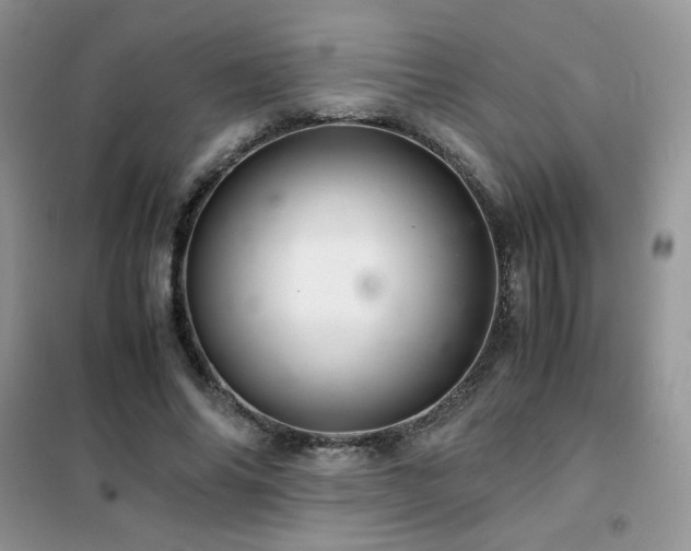 X0000102380686200808011537