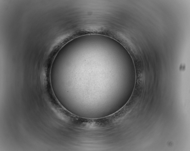 X0000102380688200808011537