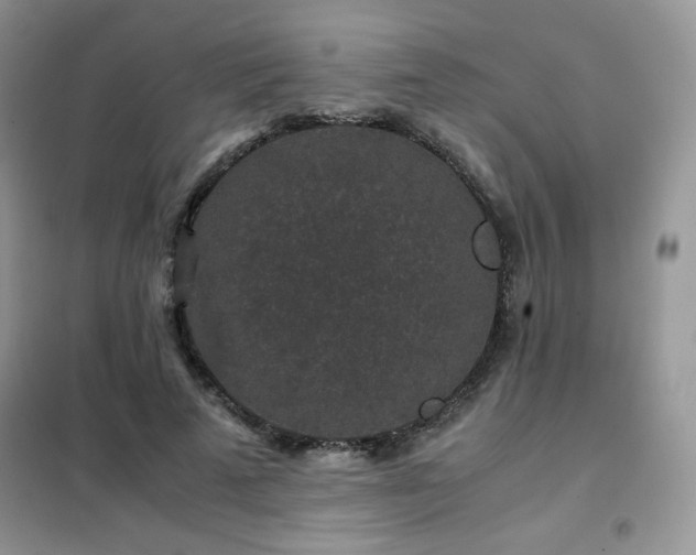 X0000102380689200808011537