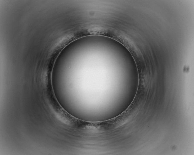 X0000102380690200808011537