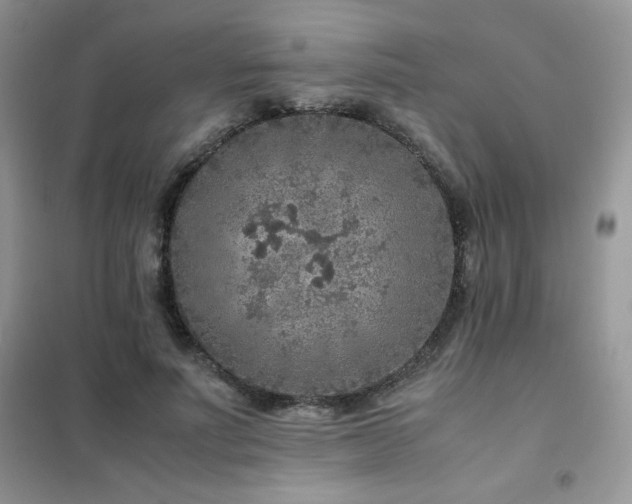 X0000102380691200808011537