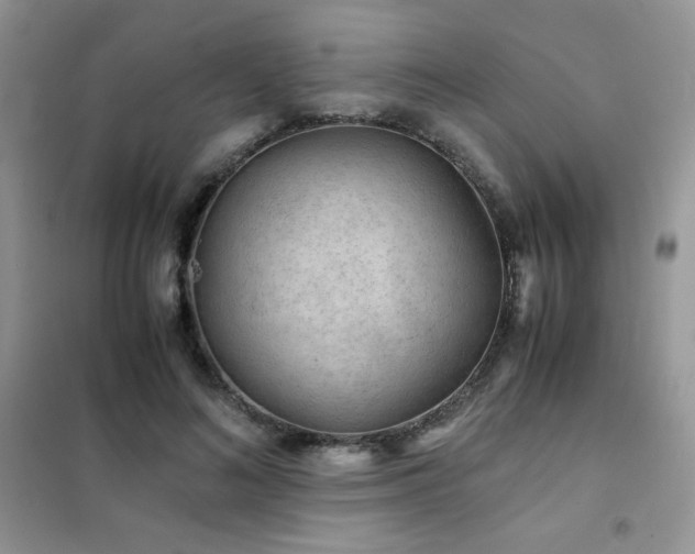 X0000102380692200808011537