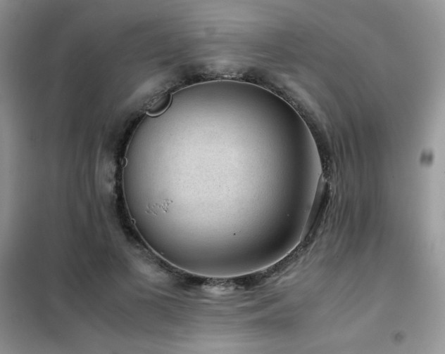 X0000102380693200808011537