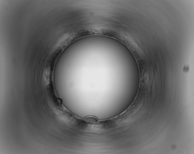 X0000102380694200808011537