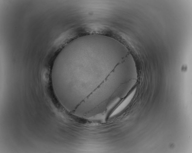 X0000102380695200808011537