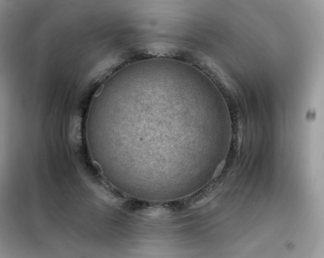 X0000102380696200808011537