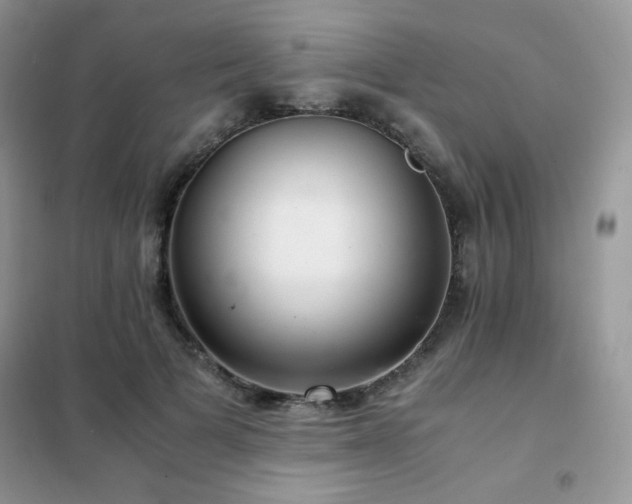 X0000102380697200808011537
