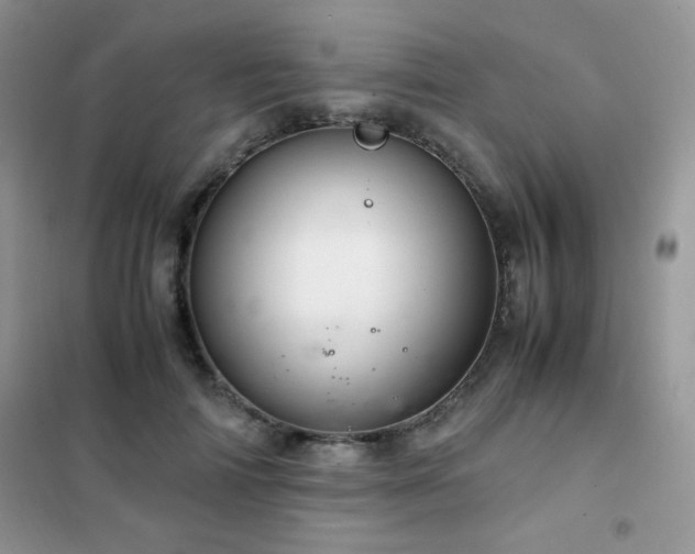 X0000102380698200808011537