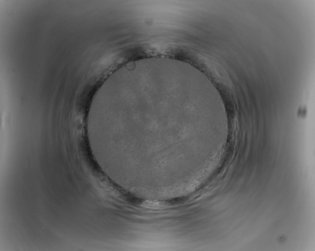 X0000102380699200808011537