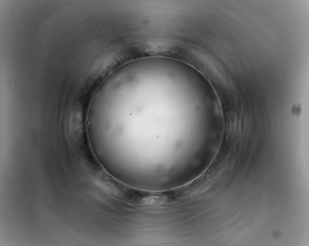 X0000102380700200808011537