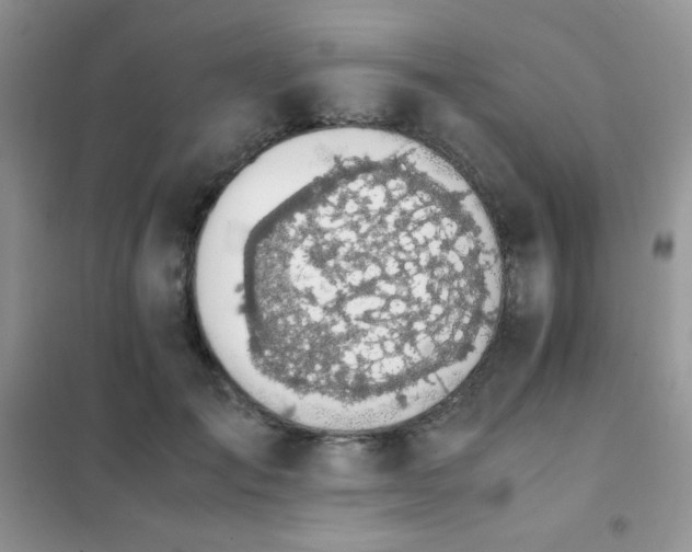 X0000102380701200808011537