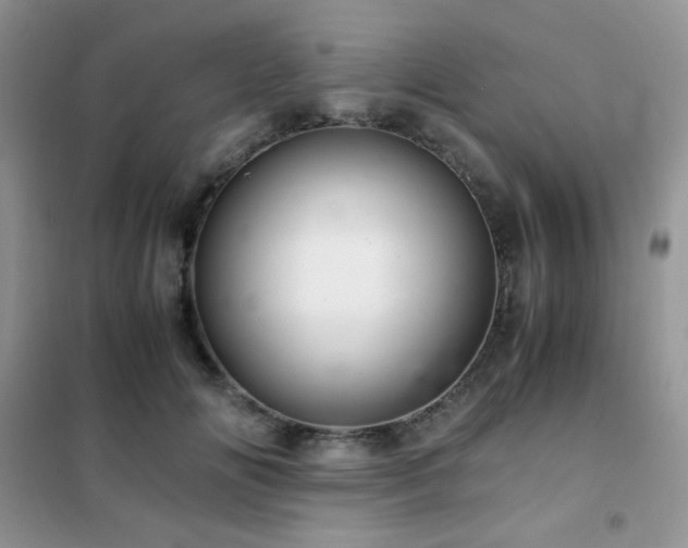 X0000102380702200808011537