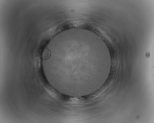 X0000102380703200808011537