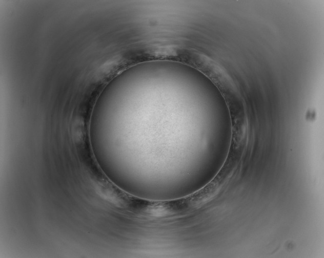 X0000102380704200808011537