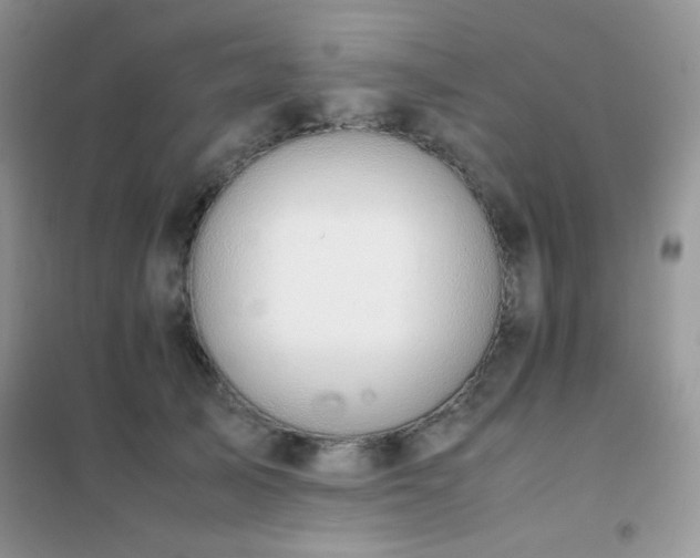 X0000102380705200808011537
