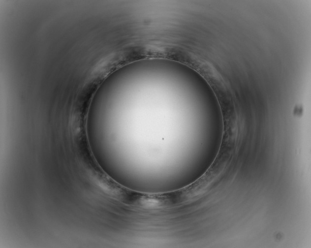 X0000102380706200808011537