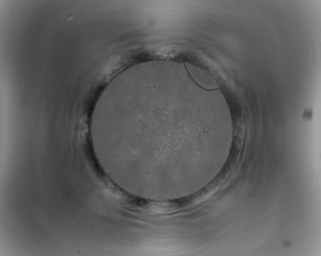 X0000102380707200808011537