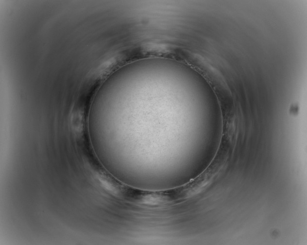 X0000102380708200808011537