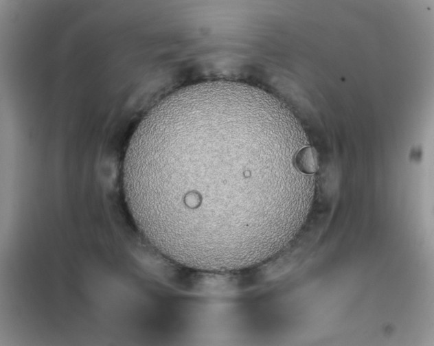 X0000102380709200808011537