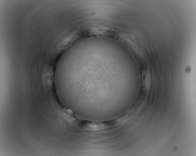 X0000102380712200808011537