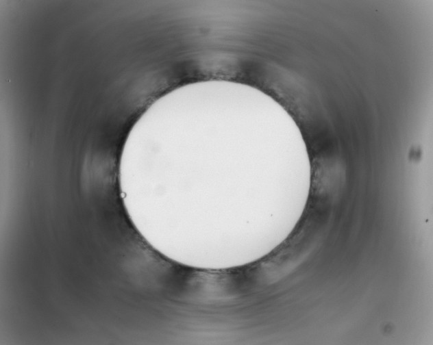 X0000102380713200808011537