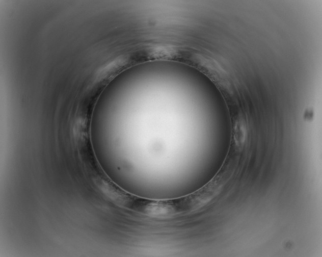 X0000102380714200808011537