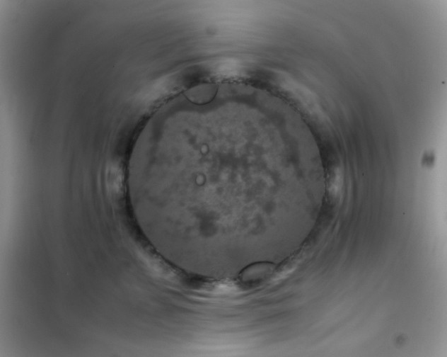 X0000102380715200808011537