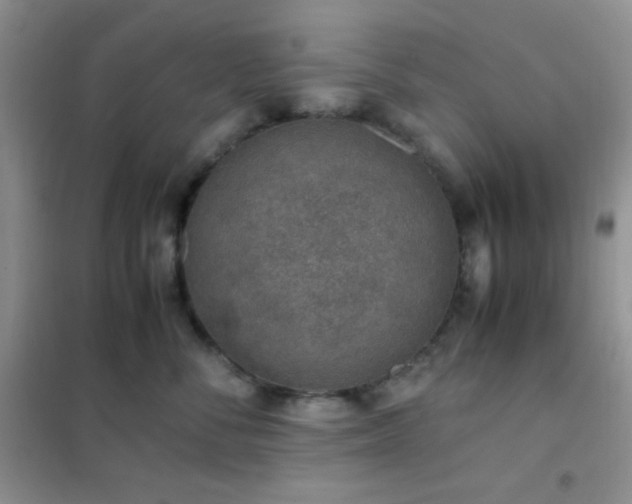 X0000102380716200808011537
