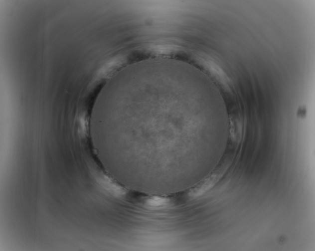 X0000102380718200808011537