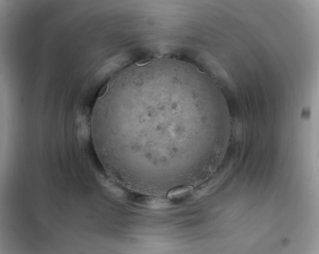 X0000102380719200808011537