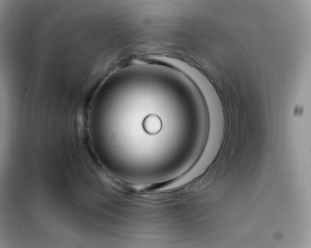 X0000102380720200808011537