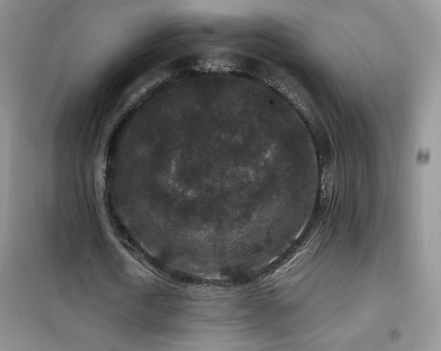 X0000102380722200808011536