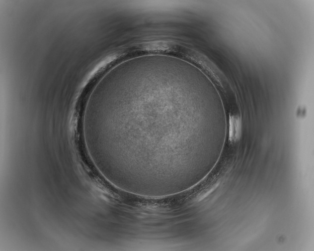 X0000102380723200808011536