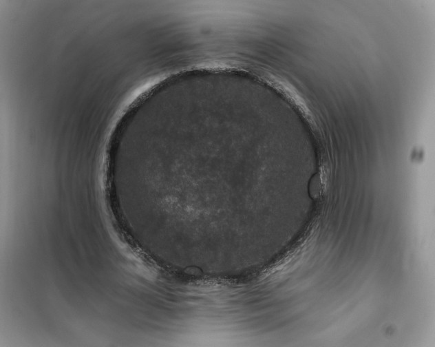 X0000102380724200808011536